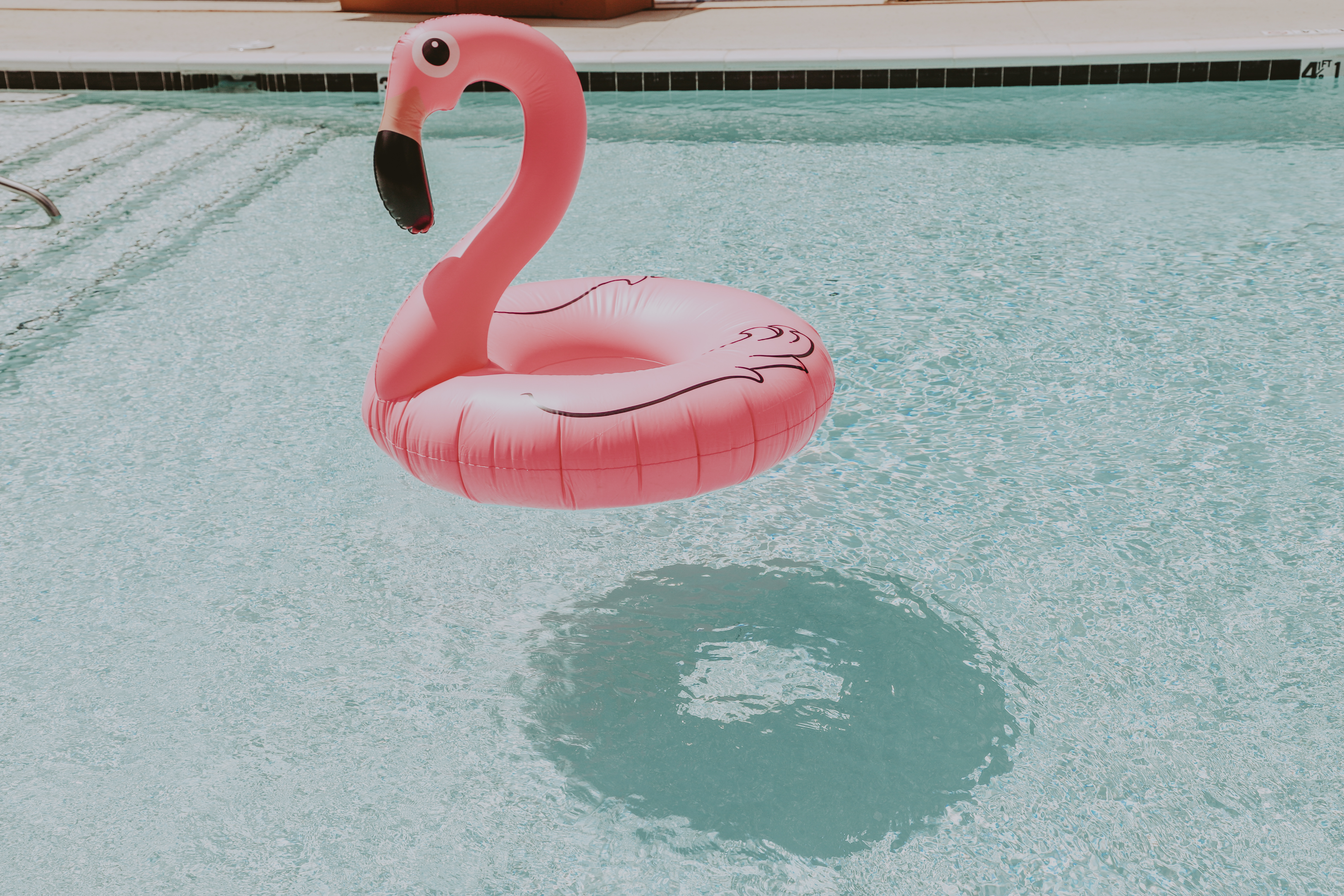 flamingo float in pool brick avenue lofts bentonville apartments pool party